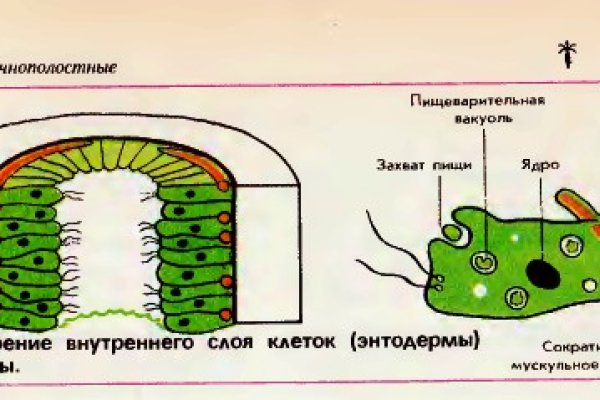 Kraken вывод денег